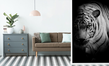 Visualisatie van het product