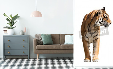 Visualisatie van het product