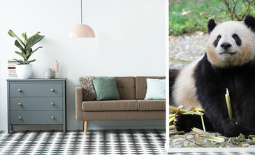 Visualisatie van het product