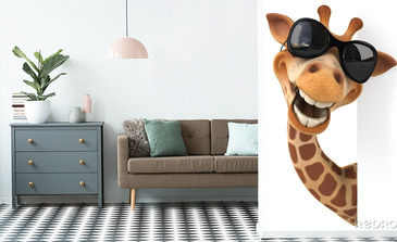 Visualisatie van het product