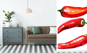 Visualisatie van het product