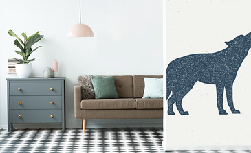 Visualisatie van het product