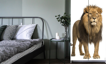 Visualisatie van het product