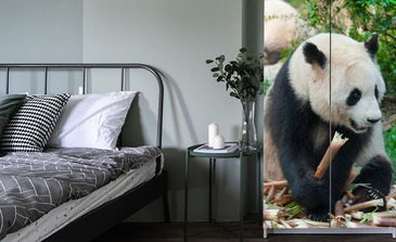 Visualisatie van het product