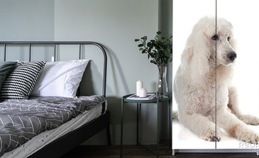 Visualisatie van het product