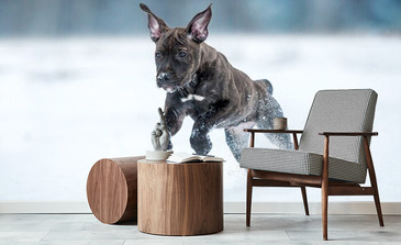 Visualisatie van het product