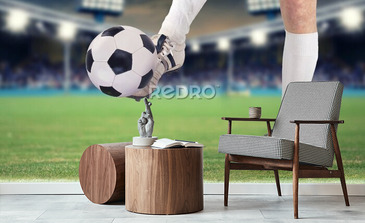 Visualisatie van het product