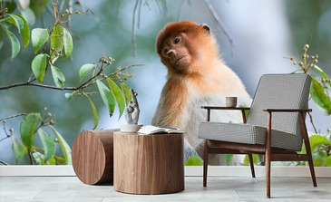 Visualisatie van het product