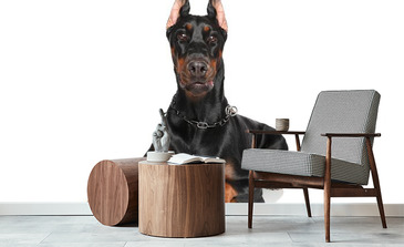 Visualisatie van het product