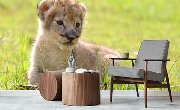 Visualisatie van het product