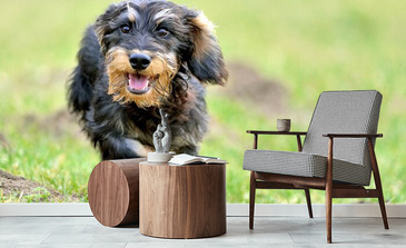 Visualisatie van het product