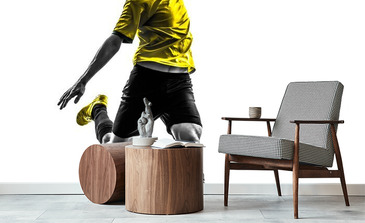 Visualisatie van het product