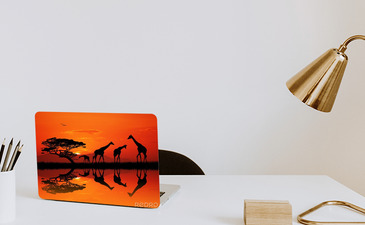 Visualisatie van het product