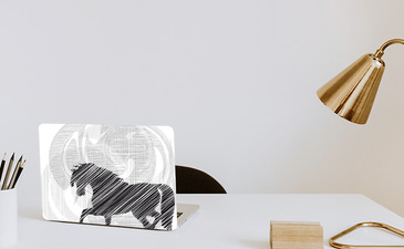 Visualisatie van het product