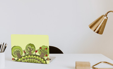 Visualisatie van het product