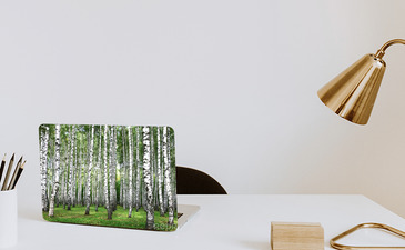 Visualisatie van het product