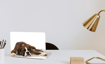 Visualisatie van het product