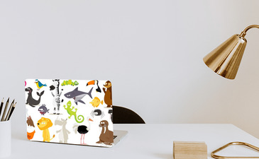 Visualisatie van het product