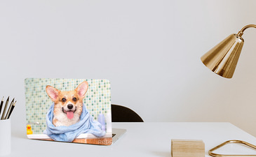 Visualisatie van het product