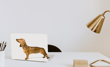 Visualisatie van het product