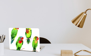 Visualisatie van het product