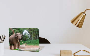 Visualisatie van het product