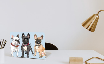 Visualisatie van het product