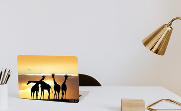 Visualisatie van het product