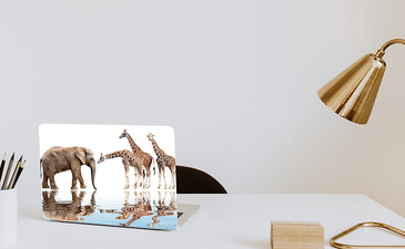 Visualisatie van het product