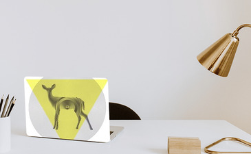 Visualisatie van het product