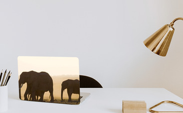 Visualisatie van het product