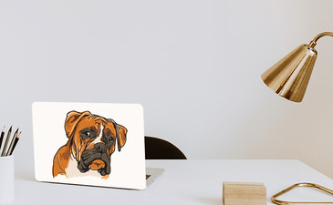 Visualisatie van het product