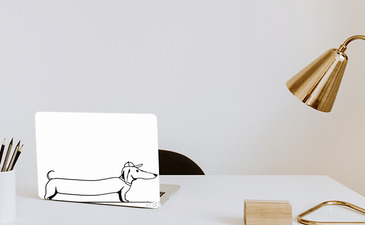 Visualisatie van het product