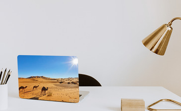 Visualisatie van het product