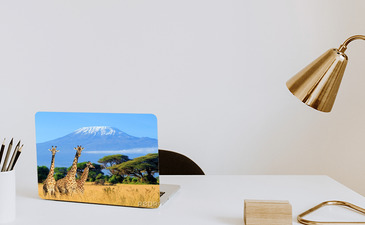 Visualisatie van het product