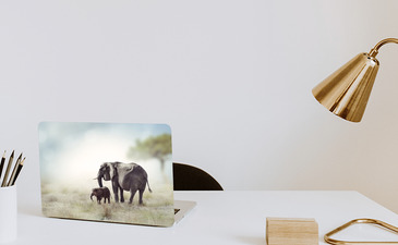 Visualisatie van het product