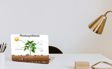 Visualisatie van het product