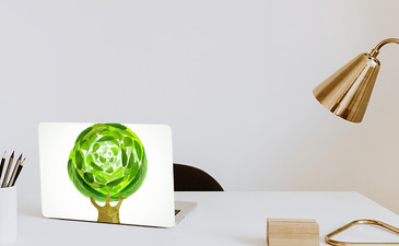 Visualisatie van het product