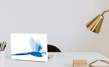 Visualisatie van het product