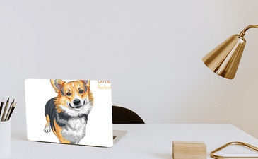 Visualisatie van het product