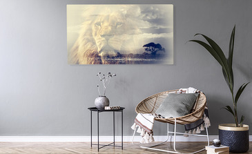 Visualisatie van het product