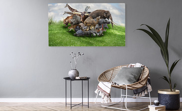 Visualisatie van het product