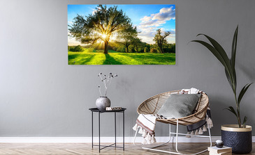 Visualisatie van het product