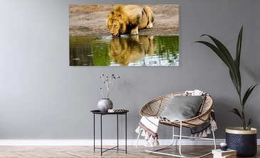 Visualisatie van het product