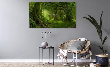 Visualisatie van het product