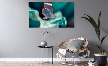 Visualisatie van het product