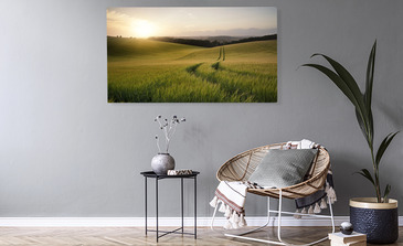 Visualisatie van het product