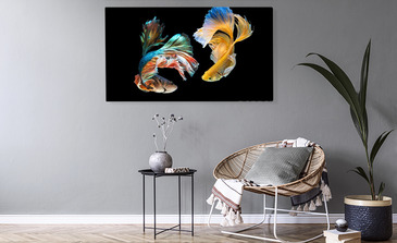 Visualisatie van het product