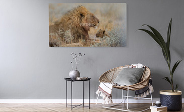 Visualisatie van het product