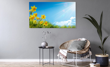 Visualisatie van het product